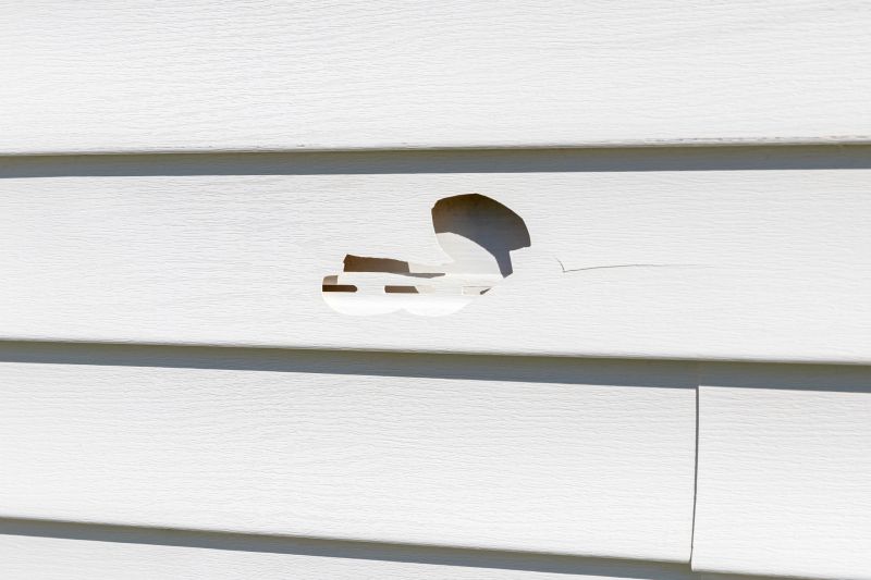 Repaired Vinyl Siding - Image 2